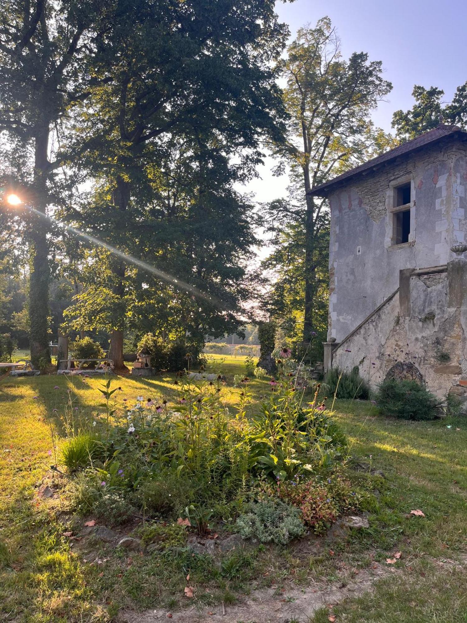 Chateau De Sibra Lagarde  Εξωτερικό φωτογραφία